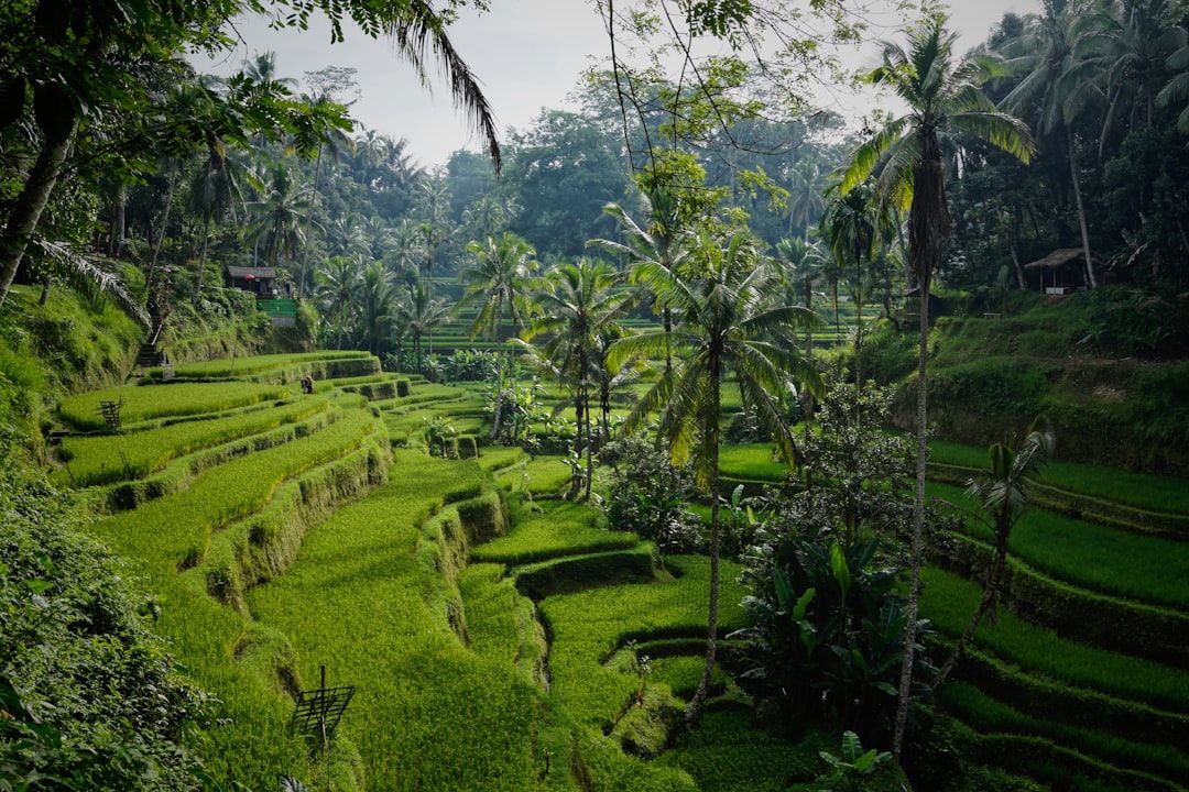 Travel Deals in Bali, Indonesia
